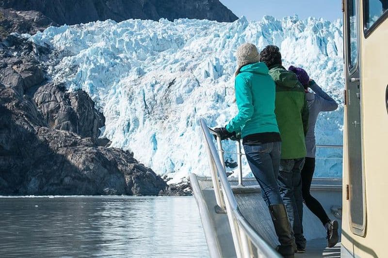 Billet Croisière au Parc National des Fjords de Kenai depuis Seward