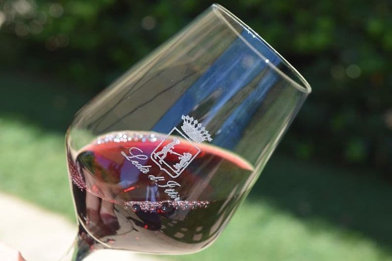 Dégustation de vin et d'huile d'olive à Alghero