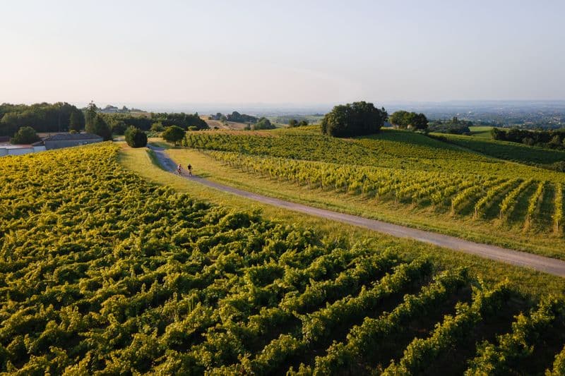 Location de vélos chez Stations Bee's - Gaillac