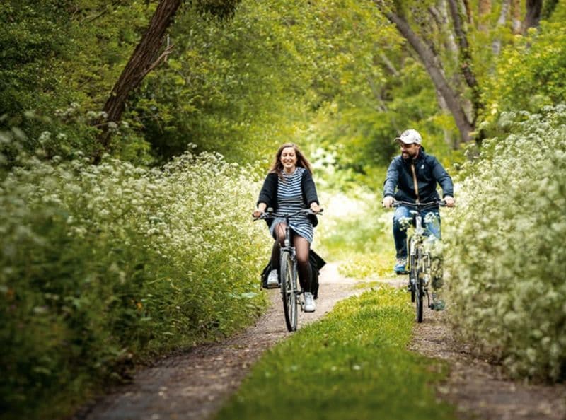 Location de vélos chez Cycl'Yo