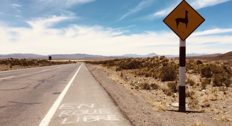 Location de vélos chez EnRoueLibre