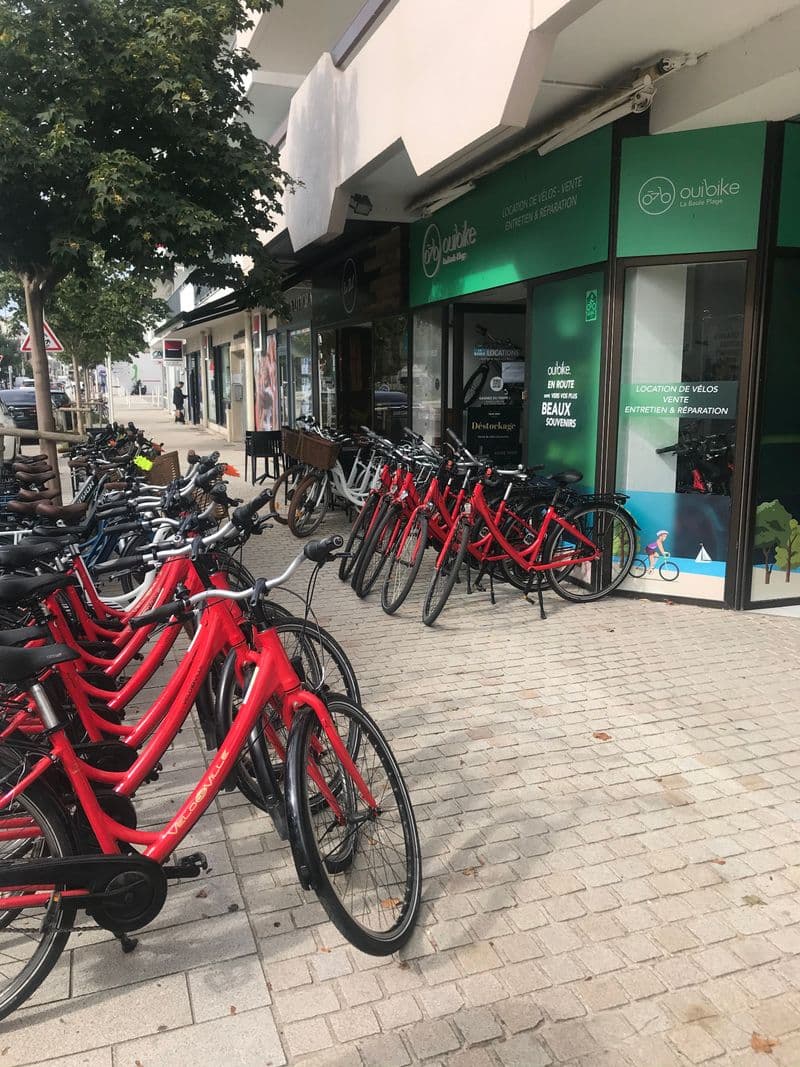 Billet Location de vélos chez La Baule Centre