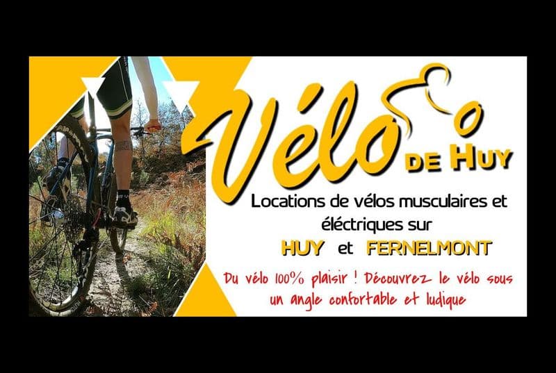Location de vélos chez Vélo de Huy
