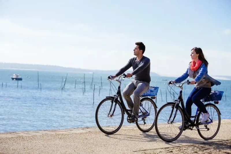 Location de vélos chez Ferret Cycles