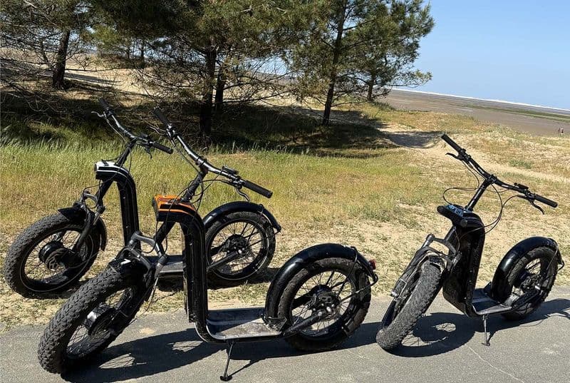 Location de vélos chez Trot'z Ride La Palmyre