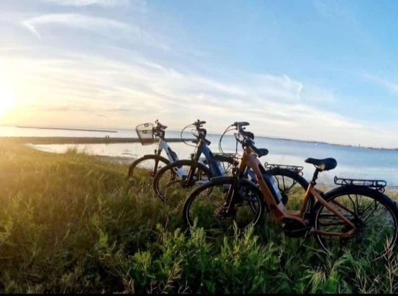 Location de vélos chez Mama Bike