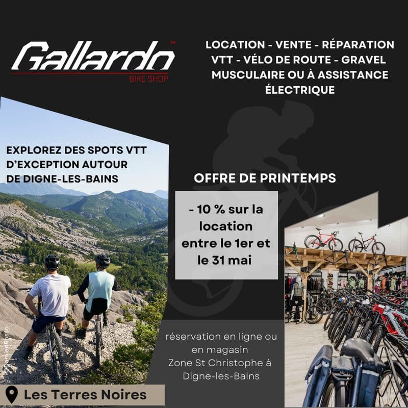 Location de vélos chez Gallardo Bike Shop