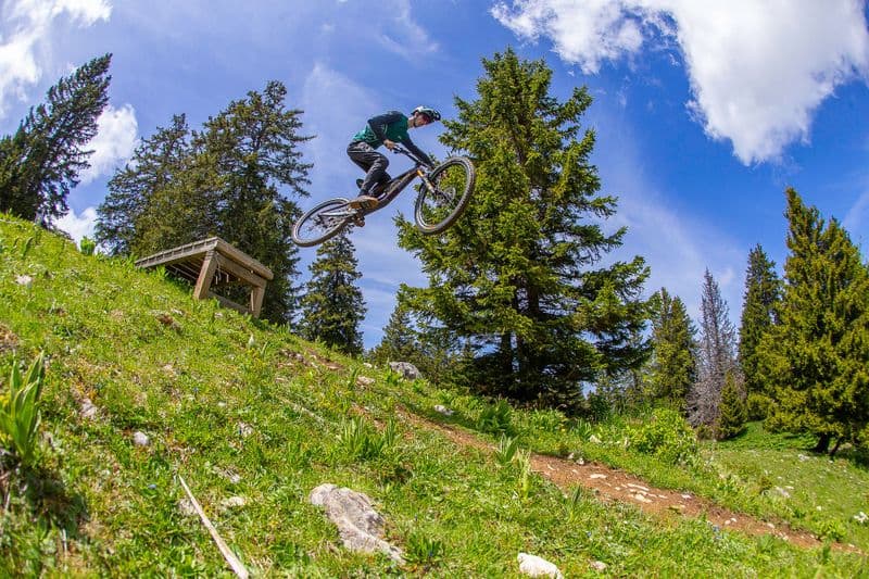 Location de vélos chez L'Appartelier du Cycle