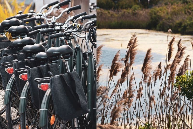 Location de vélos chez vélocation - ça roule