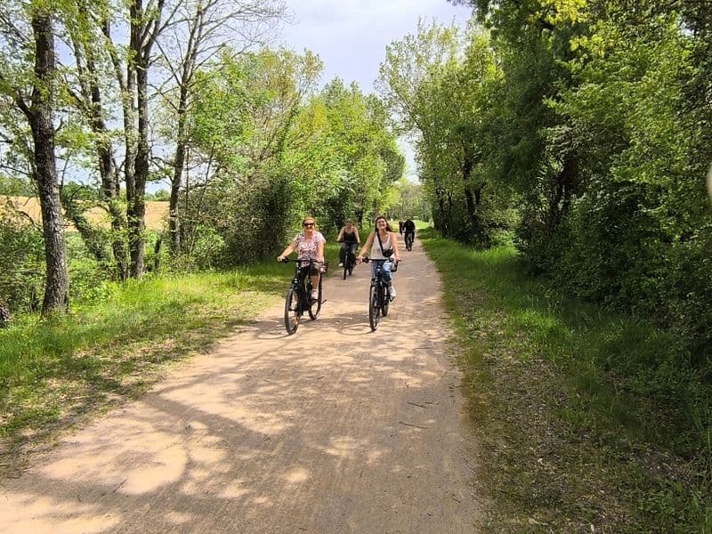 Location de vélos chez Les vélos de l'autan
