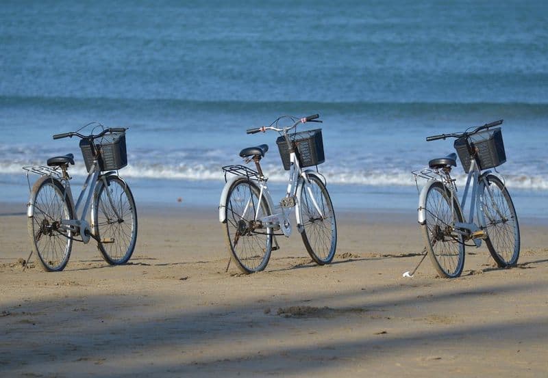 Location de vélos chez ARTIMON BIKE