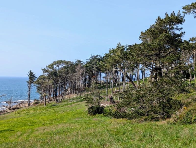 Location de vélos chez Ti'bicyclette
