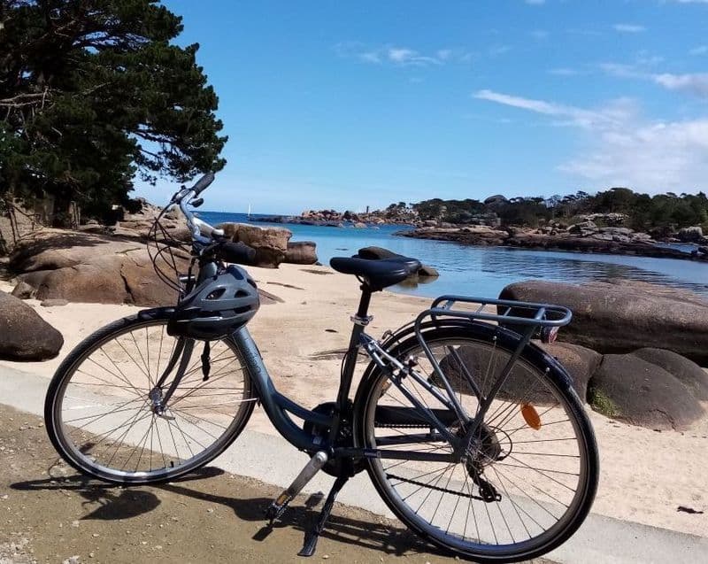 Location de vélos chez Les vélos de la baie