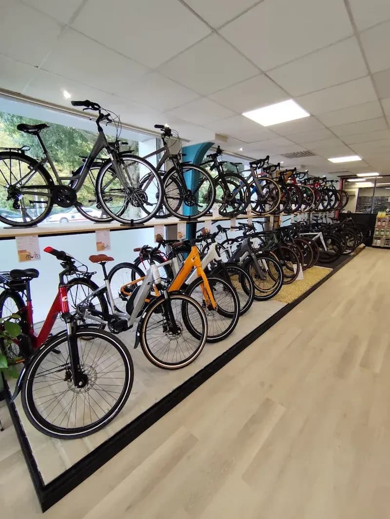 Billet Location de vélos chez Push Cycle Workshop