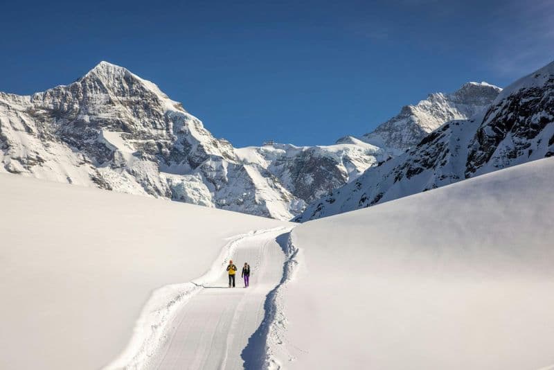 Billet Pass de voyage hivernal Jungfrau pour la luge et la randonnée