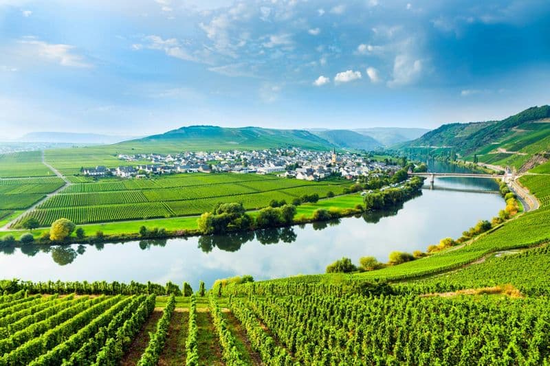 Billet Excursion d'une journée en Moselle luxembourgeoise avec dégustation de vins et promenade en bateau