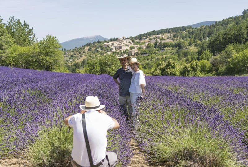 Billet Découverte de la lavande à Sault et visite de Gordes et Roussillon