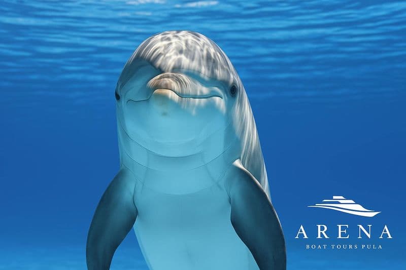 Billet Sunset boat tour to Brijuni National Park with dinner and dolphin watching