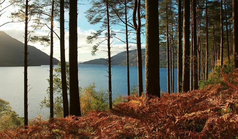 Billet Loch Lomond and whisky small-group day tour from Glasgow