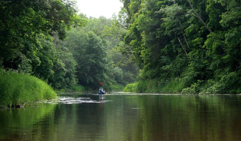 Excursion d'une journée en canoë autoguidée au départ de Pärnu