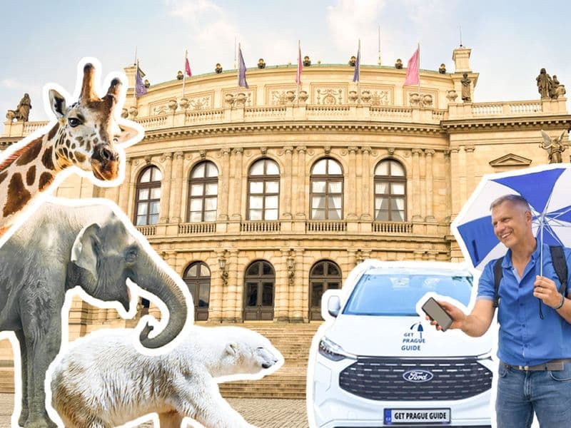 Billet Transfer to Prague Zoo with audio guide