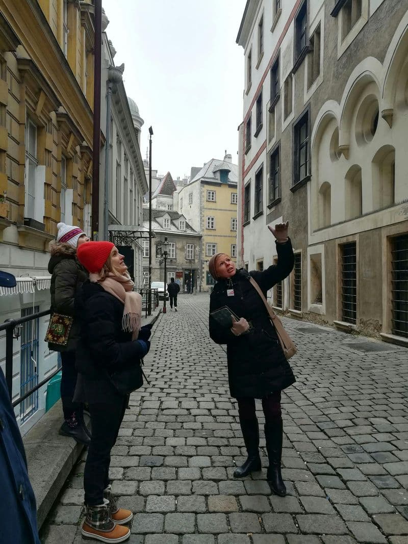 Billet Vienne, la ville aux multiples passés : visite guidée de la ville avec un historien