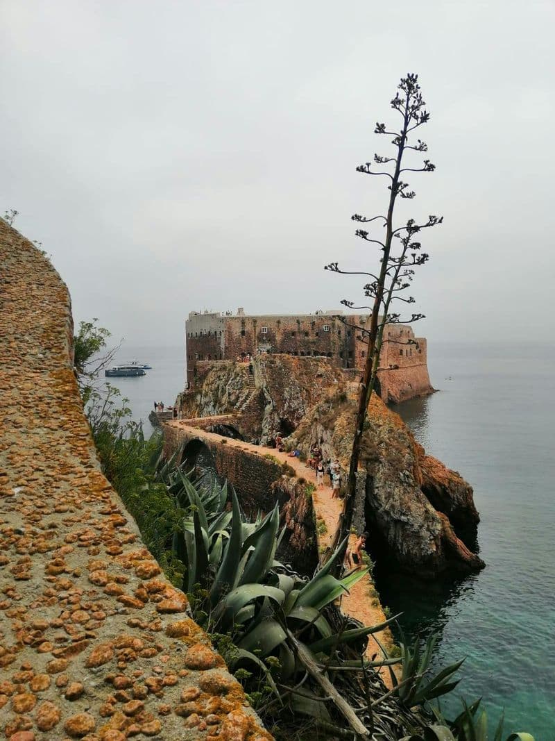 Billet Excursion sur l'île de Berlenga, visite d'une grotte en bateau à fond de verre et promenade guidée