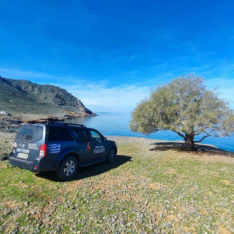 Billet Visite guidée du mont Juktas, de la distillerie de raki et de vin