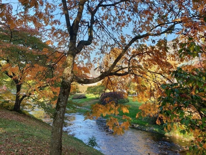 Billet Visite audio autoguidée historique de Baden-Baden