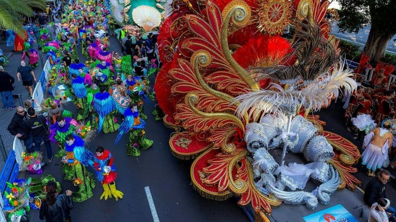 Billet Service de transfert : carnaval de Santa Cruz de Tenerife 17-02 -2026