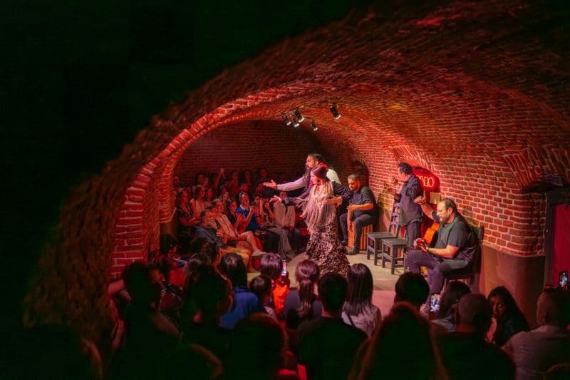 Billet Spectacle de flamenco traditionnel dans une grotte en briques à Madrid