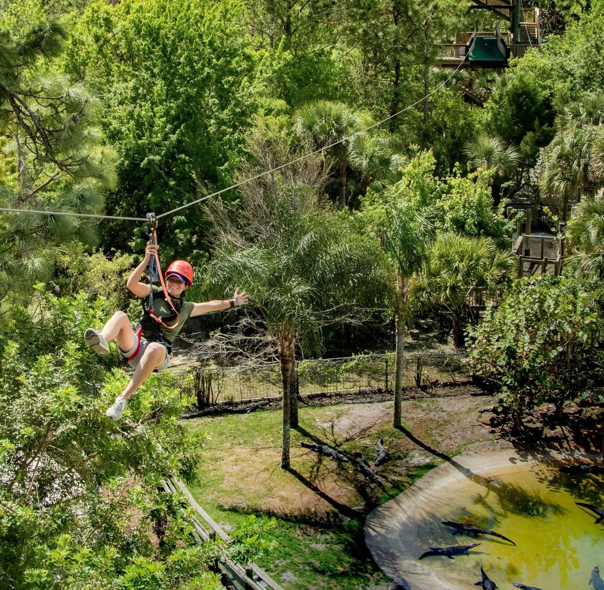 Screamin' Gator Zipline and Gatorland combo admission