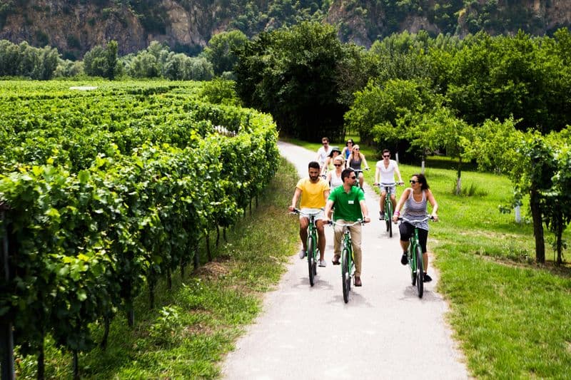 Billet Wachau Winery Bike Tour