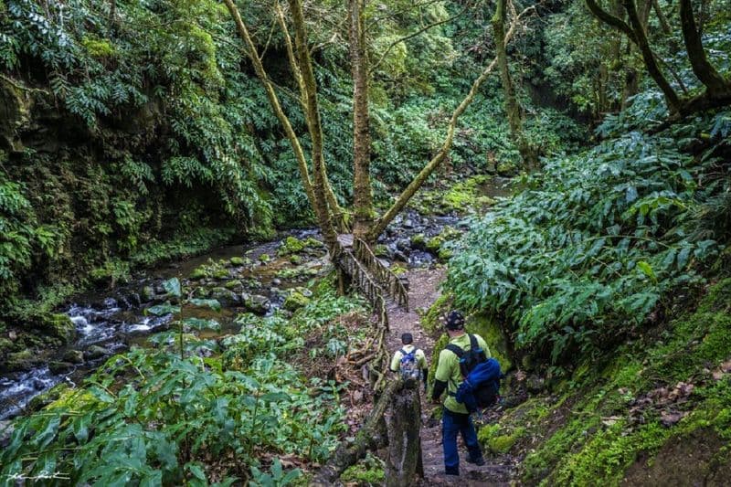 Billet Randonnée à Moinho do Félix au départ de São Miguel