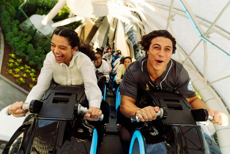 Billet standard 1 jour pour Walt Disney World Resort