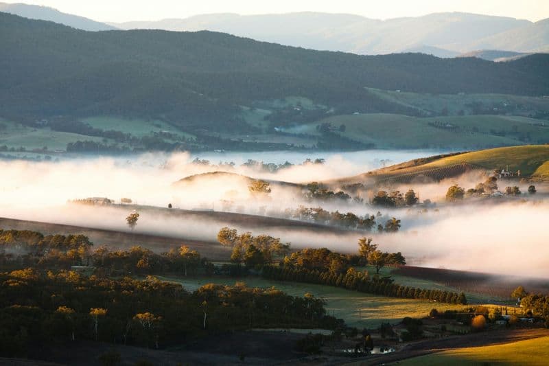 Billet Visite en bus des vignobles de la vallée de Yarra, incluant un déjeuner avec un verre de vin et du chocolat