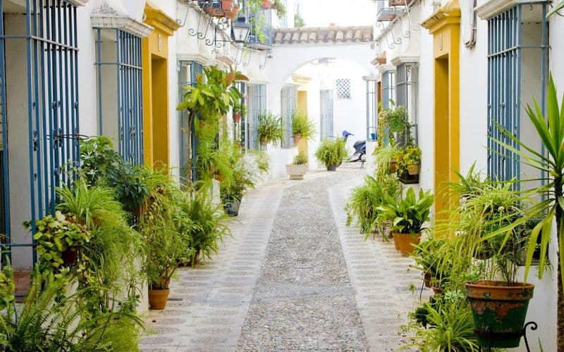 Billet Visite guidée de la fête des patios de Cordoue