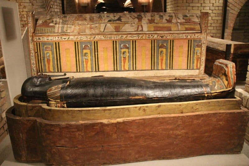 Billet Visite audio du Neues Museum