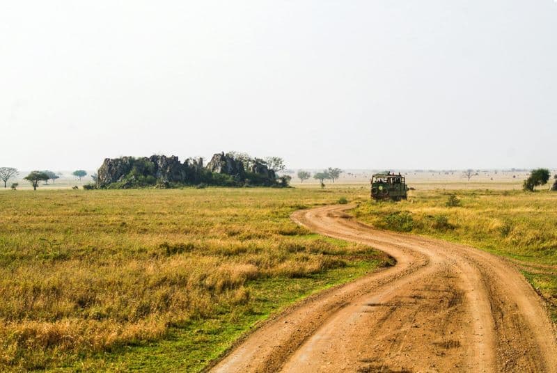 Billet Safari de deux jours dans le parc national de Nyerere avec deux safaris en voiture