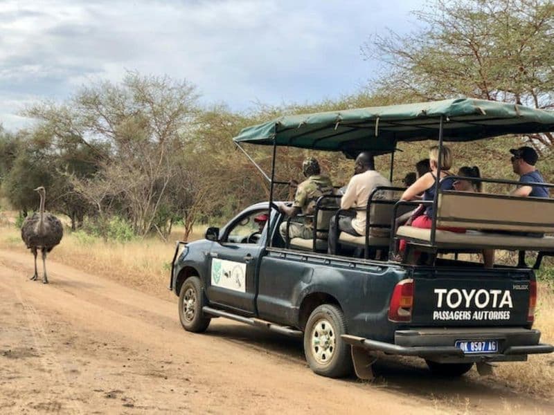 Billet Bandia safari and Baobab adventure from Pointe Sarène