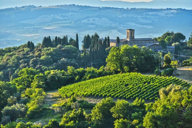 Dégustation de vin Brunello et déjeuner dans un château toscan à Montalcino