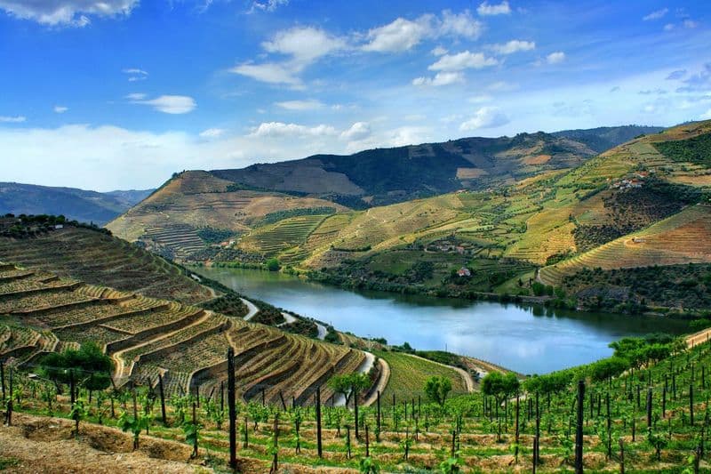 Billet Excursion d'une journée dans la vallée du Douro au départ de Porto avec déjeuner, dégustation de vin et croisière