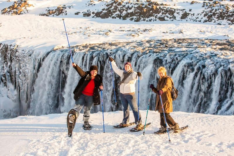 Billet Dettifoss Waterfalls 4x4 Tour from Lake Mývatn