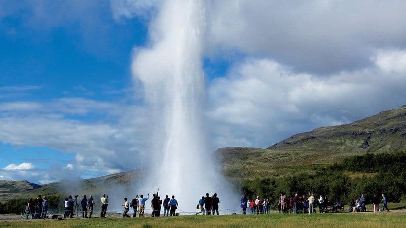 Billet Tour du cercle d'or et visite de la serre biologique Friðheimar