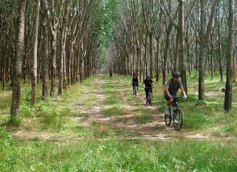 Billet Demi-journée de randonnée à vélo dans la campagne au départ de Phuket