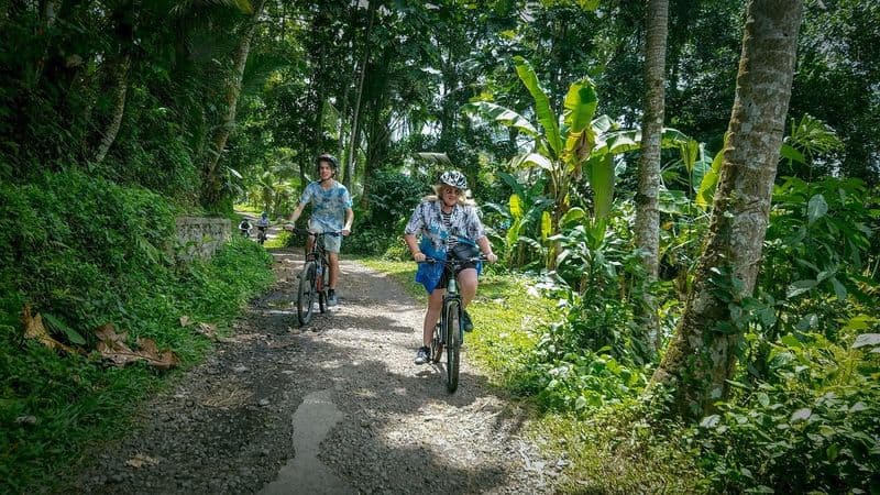 Billet Matinée meilleure excursion à vélo à Bali