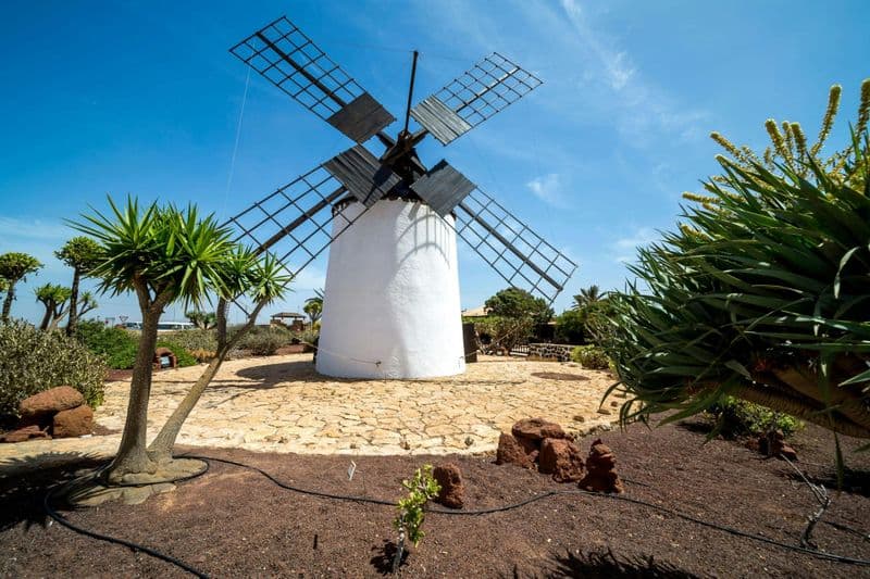 Billet Villages, gastronomie et plantation d'aloe vera à Fuerteventura