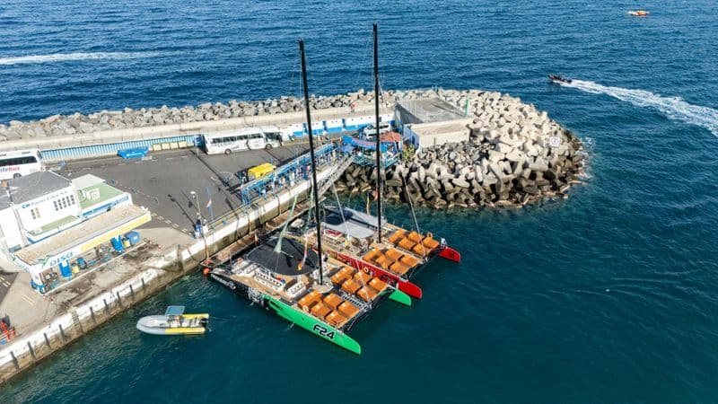 Croisière en catamaran pour Halloween à Tenerife