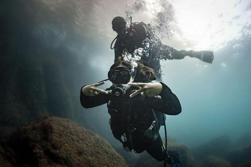Billet Expérience de plongée sous-marine dans le parc naturel du Montgrí