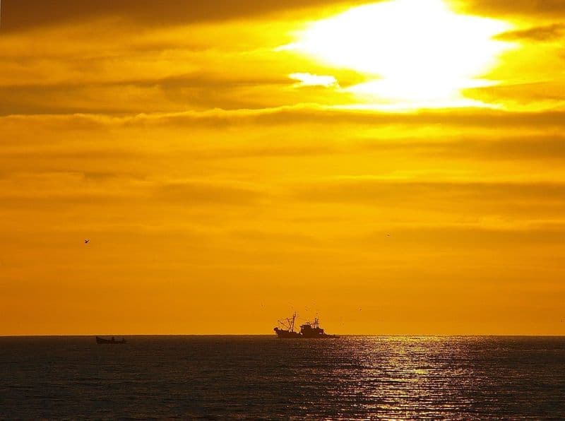 Billet Excursion au coucher du soleil dans les dunes de Timlaline avec visite du canyon et barbecue